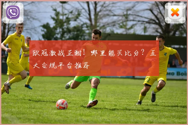 欧冠激战正酣！哪里能买比分？五大合规平台推荐